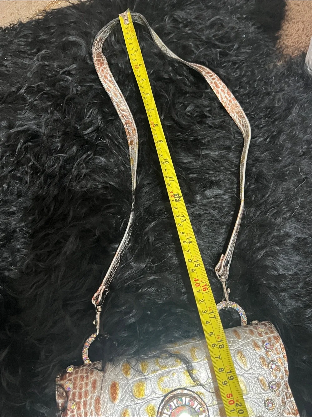Raviani Iridescent Pearl Croc-Embossed Crossbody with Crystal Buckle